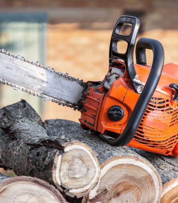 https://lehighvalleytreeservices.com/wp-content/uploads/2022/10/tree-removal-service-570x650.jpg